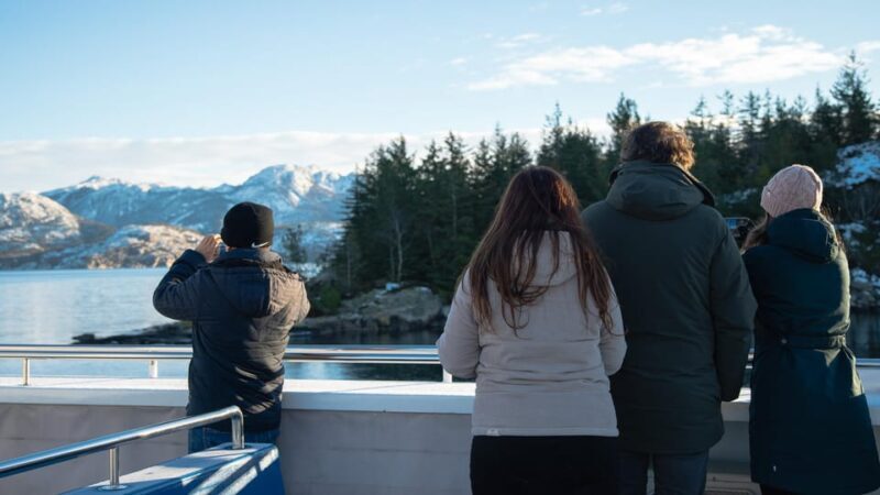 Lysefjorden cruise & Preikestolen guided hike - winter - What We Think About the Value