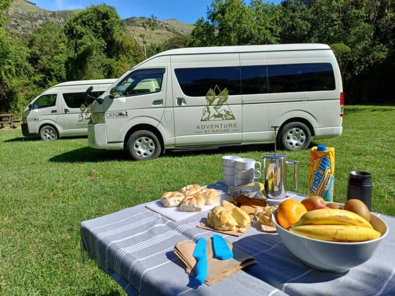 Lyttelton: Shore Excursion, Caving & Castle Hill Rocks - Who This Tour is Best For