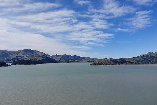 Lyttelton Shore Excursion: Christchurch Sightseeing with Antarctic Center - Final Thoughts