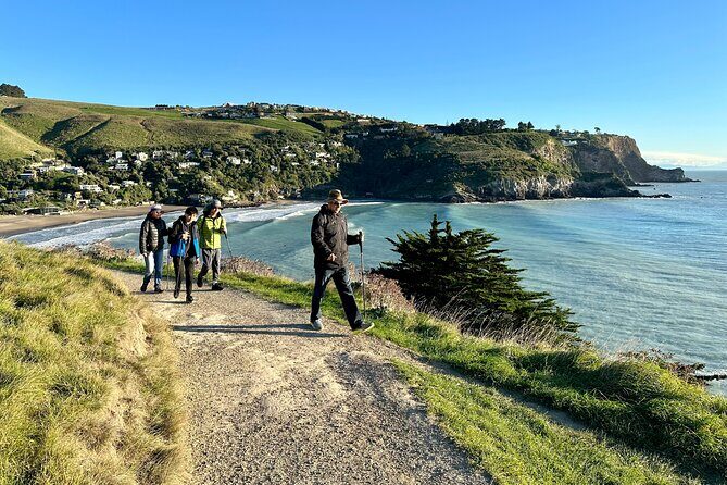 Lyttelton Shore Excursion - Guided Walking Tour and Picnic - What You Can Expect During the Tour