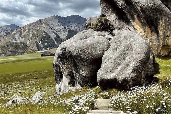 Lyttleton Port Excursion Day Tour 3 options for Cruise travelers - Final Thoughts