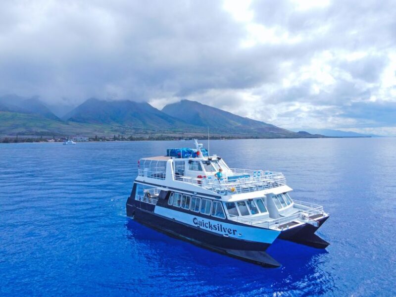 Ma'alaea Harbor: Whale Watching Tour Aboard Power Catamaran - Key Points