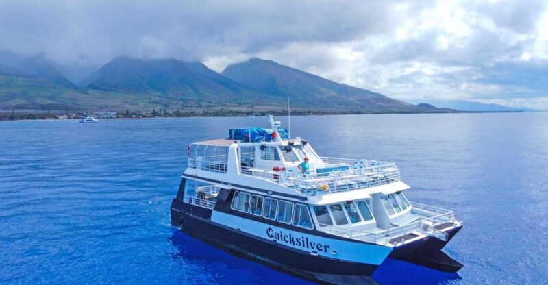 Ma'alaea Harbor: Whale Watching Tour Aboard Power Catamaran - Who Will Love This Tour?