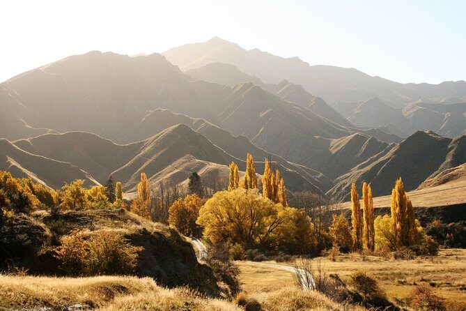 Macetown 4WD Adventure Full Day Guided Tour from Queenstown - An In-Depth Look at the Macetown 4WD Adventure