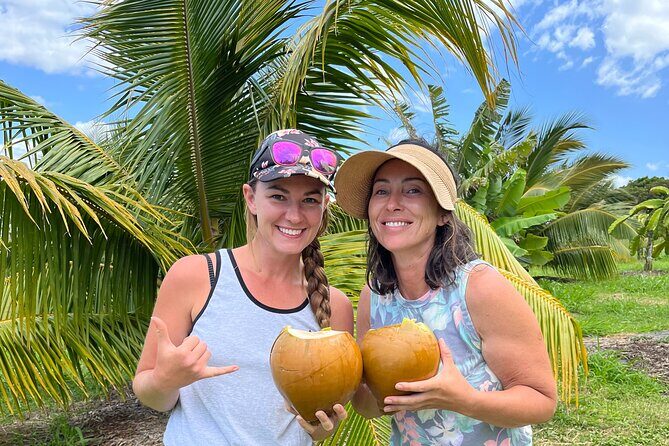 Macnut Tour, Picnic lunch and Maui Bees - Introduction