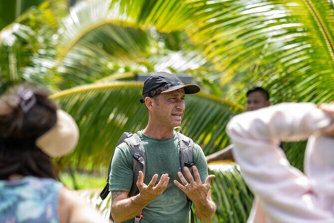 Macnut Tour, Picnic lunch and Maui Bees - Key Points