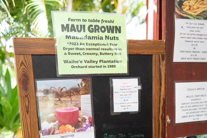 Macnut Tour, Picnic lunch and Maui Bees - The Sum Up