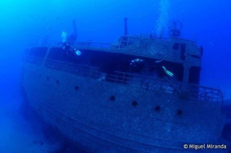 Madeira: 4-hour Scuba Dive from Porto Santo Island - What Makes This Tour Special?