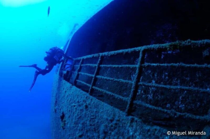 Madeira: 4-hour Scuba Dive from Porto Santo Island - Final Thoughts