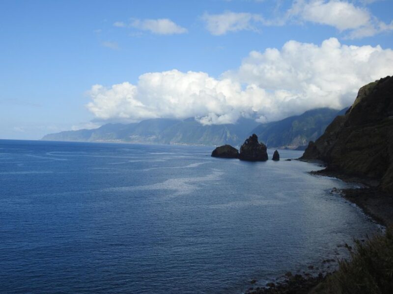 Madeira 4x4 Jeep Safari: Porto Moniz, Lava Pools & Fanal - Winery Visit and Tasting