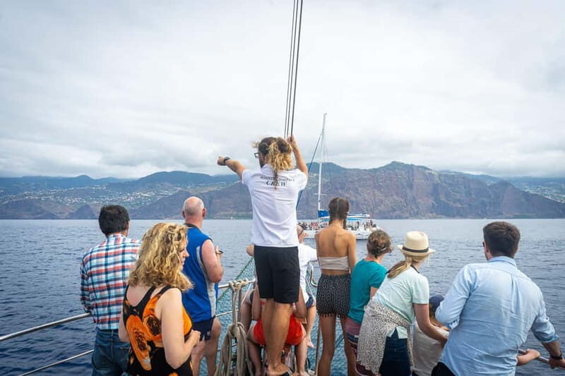 Madeira : 5 hour East Coast boat excursion - What to Expect on the Madeira East Coast Boat Tour