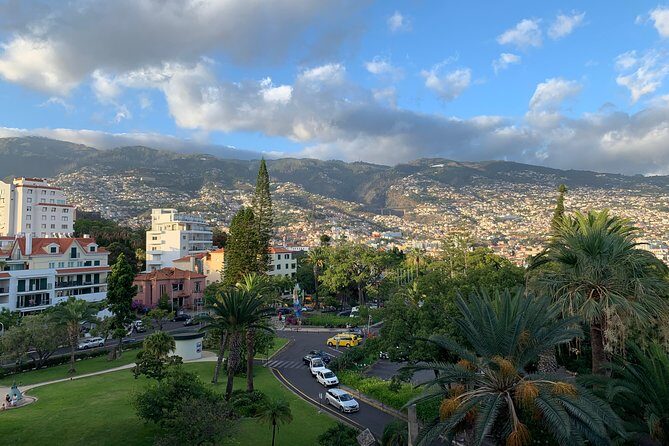 Madeira Airport Round Trip Private Transfers Services - Madeira Airport Round Trip Private Transfers Services: A Practical Guide for Travelers