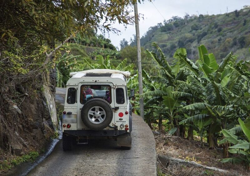 Madeira: Amazing West - Porto Moniz - Who Is This Tour Best For?
