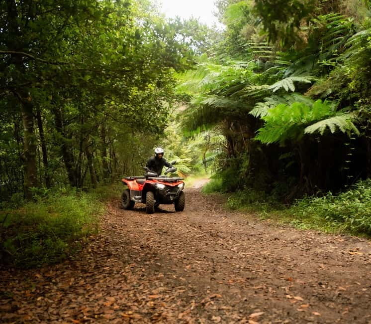 Madeira: Aventura Off-Road de ATV ou Quad - Adrenalina - Madeira: Aventura Off-Road de ATV ou Quad - Adrenalina