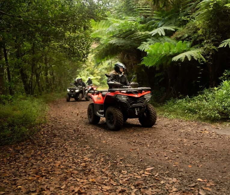 Madeira: Aventura Off-Road de ATV ou Quad - Adrenalina - Key Points