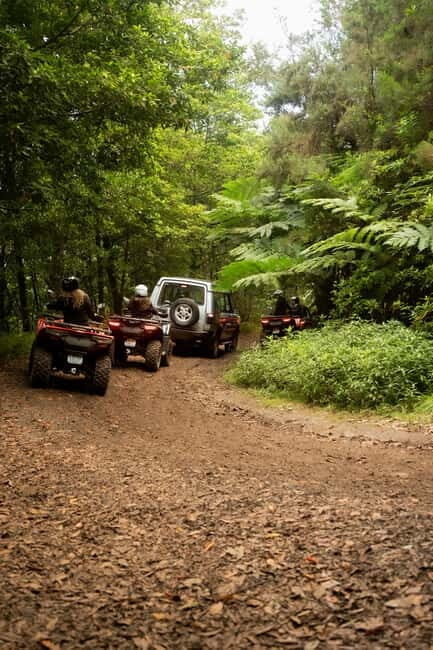 Madeira: Aventura Off-Road de ATV ou Quad - Adrenalina - Who Should Consider This Tour?
