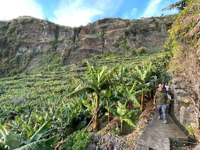 Madeira: Banana Plantation Guided Tour with Tasting - Whats Included and Whats Not