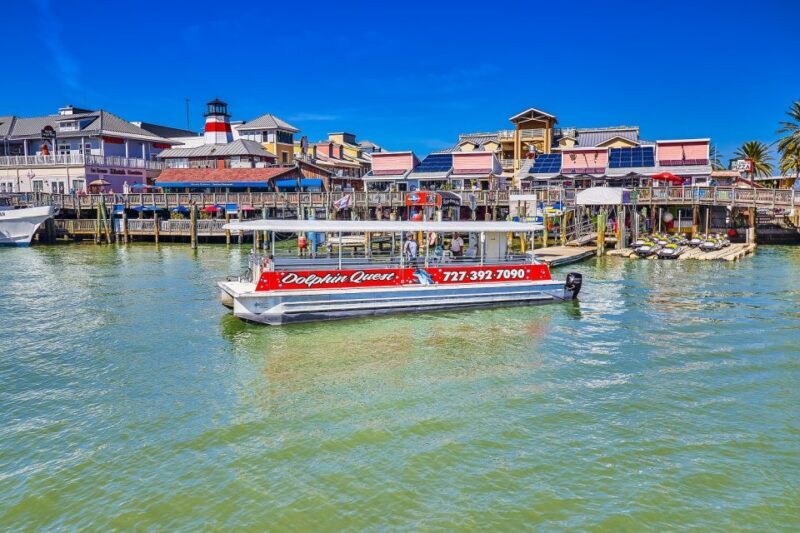 Madeira Beach: Guided Dolphin Watching Eco-Friendly Cruise - What to Expect on the Dolphin Cruise