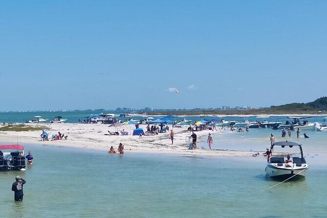 Madeira Beach - Shell Key - Dolphins - Half Day Private Boat Tour - FAQs