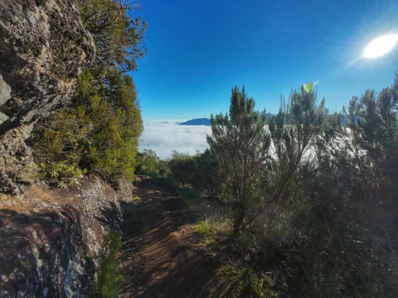 Madeira: Bica da Cana to Encumeada Guided Hike with Pickup - Key Points