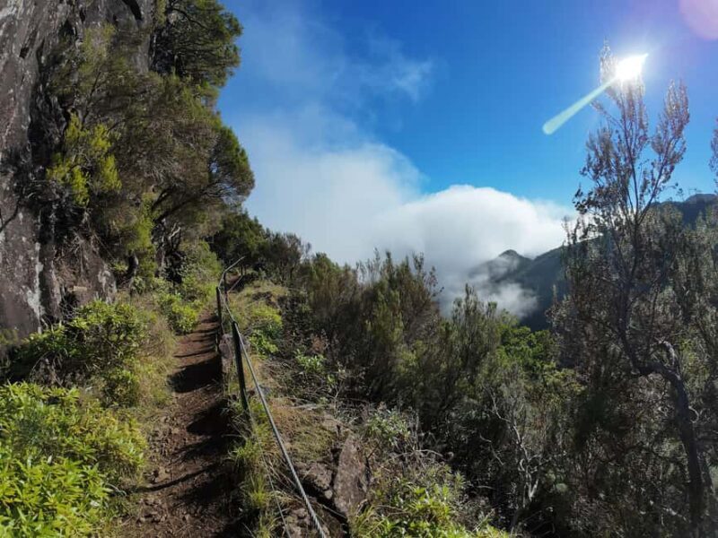 Madeira: Bica da Cana to Encumeada Guided Hike with Pickup - An In-Depth Look at the Bica da Cana to Encumeada Hike