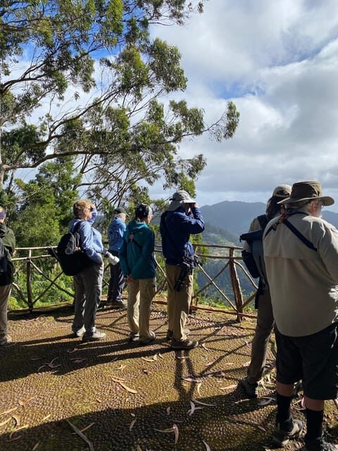 Madeira: Birdwatching - The Endemics - What to Expect from the Tour