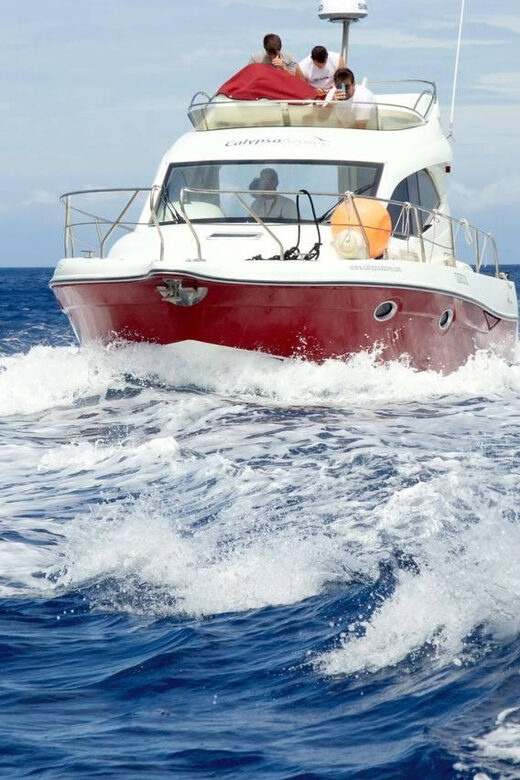 Madeira: Boat trip - Madeira: Boat Trip – An Oceanic Escape with a Personal Touch