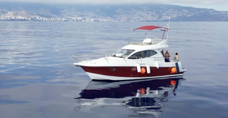 Madeira: Boat trip - The Practicalities: Price, Duration, and Booking