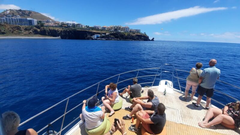 Madeira: Boat Trip with Lunch, Drinks, and Hotel Transfer - Final Thoughts