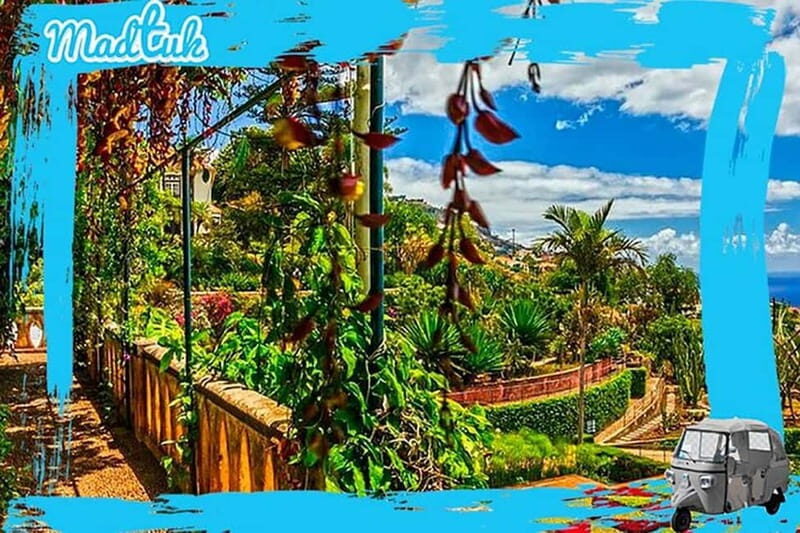 Madeira: Botanical Gardens + Old Town Tuk-Tuk Tour by MadTuk - What Makes This Tour Stand Out?