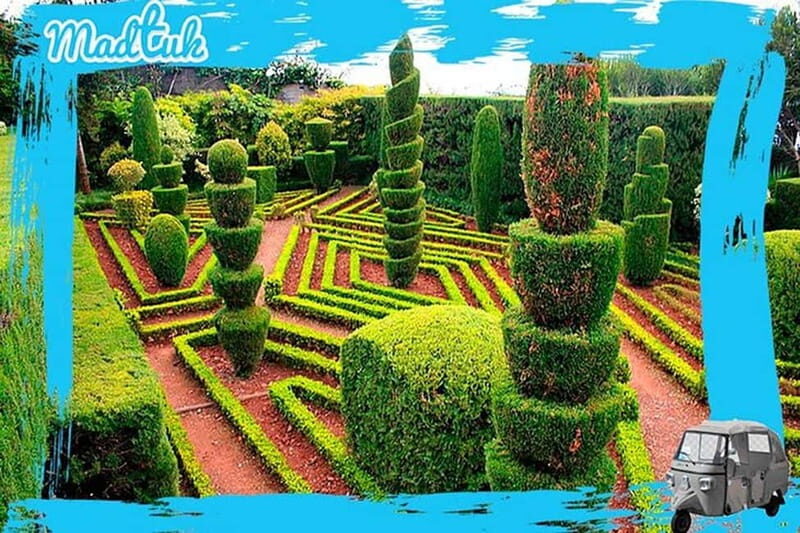Madeira: Botanical Gardens + Old Town Tuk-Tuk Tour by MadTuk - Transportation and Group Details