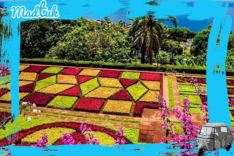 Madeira: Botanical Gardens + Old Town Tuk-Tuk Tour by MadTuk - Pricing and Value