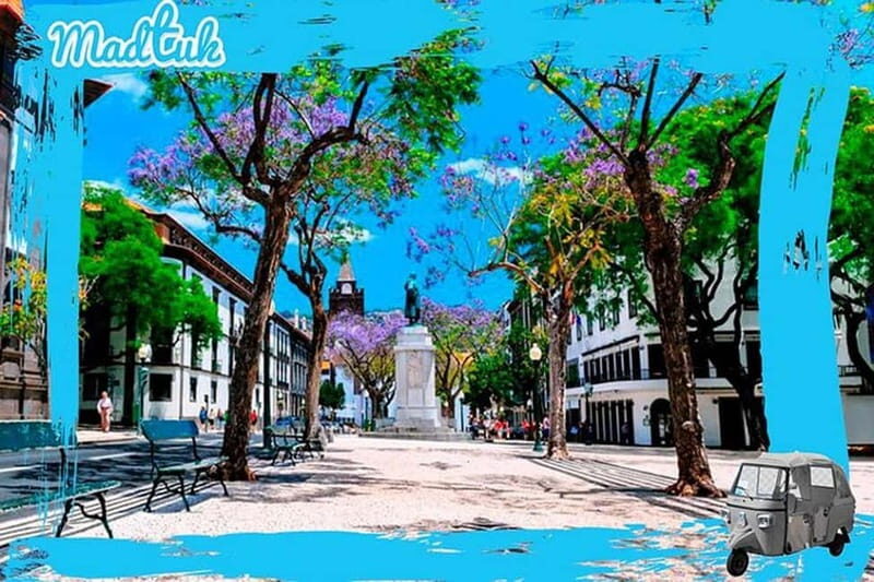 Madeira: Botanical Gardens + Old Town Tuk-Tuk Tour by MadTuk - Final Thoughts