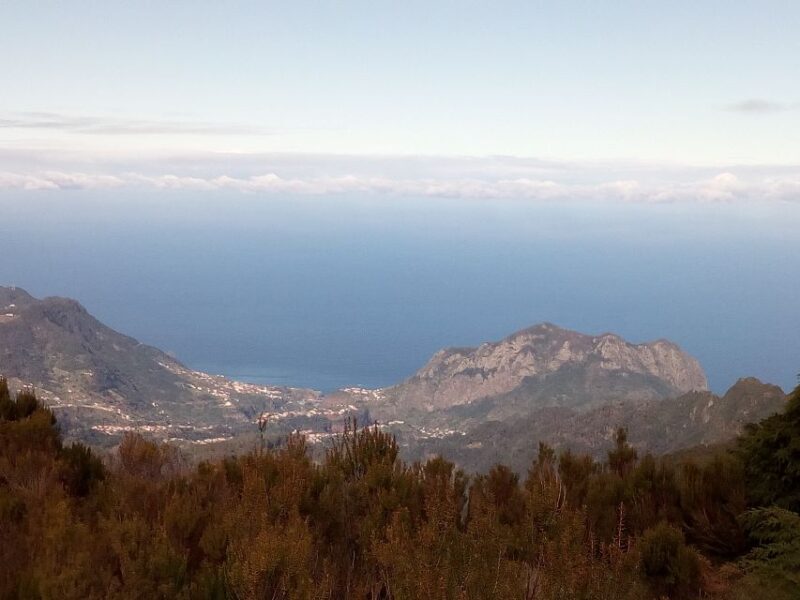 Madeira by Sidecar: 5-Hours Old Roads to Calheta Tour - What Do Visitors Say?