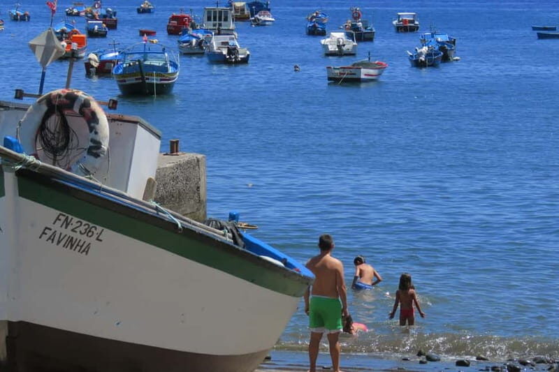 Madeira: Cabriolet Tour with Skywalk and Câmara de Lobos - Who Is This Tour Best For?