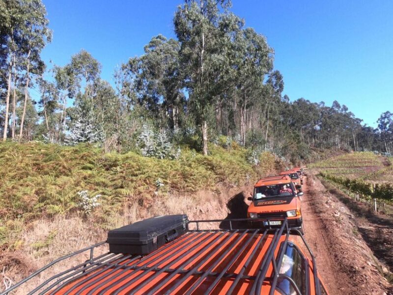 Madeira: Câmara de Lobos & Cabo Girão Half-Day Jeep Tour - Who Is This Tour Best For?