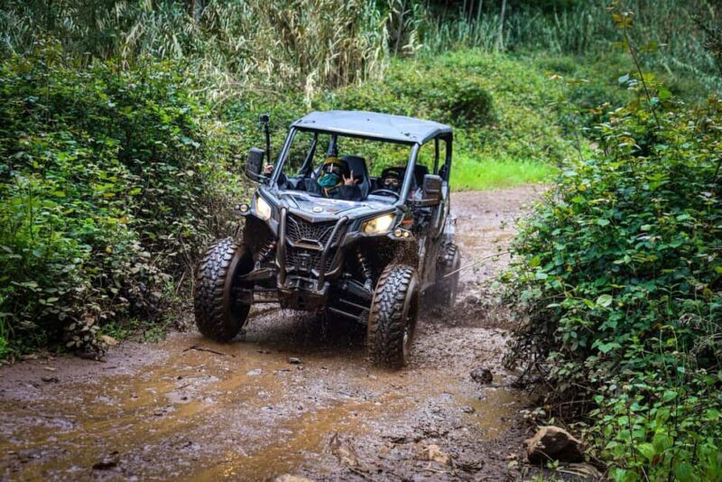 Madeira: Can-Am Off-Road Buggy Guided Adventure - Key Points
