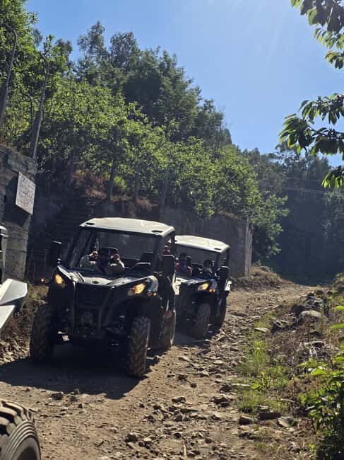 Madeira: Can-Am Off-Road Buggy Guided Adventure - Pricing & Value