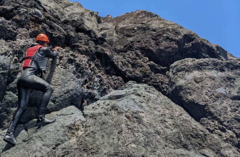 Madeira: Coasteering and Cliff Jumping - Pricing and Value