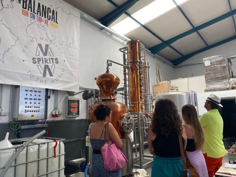 Madeira: Distilleries - Who Is This Tour Best For?
