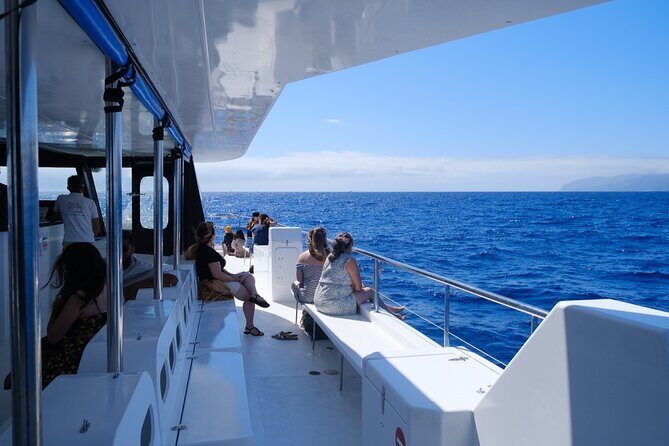 Madeira Dolphin and Whale Watching on a Ecological Catamaran - Practical Details and Value