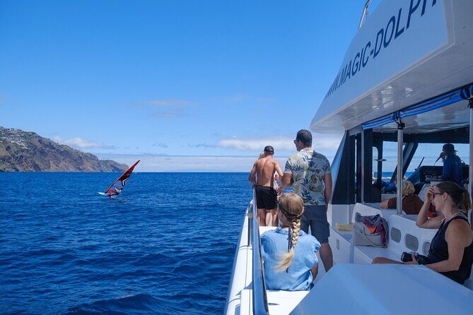 Madeira Dolphin and Whale Watching on a Ecological Catamaran - Reviews in a Nutshell