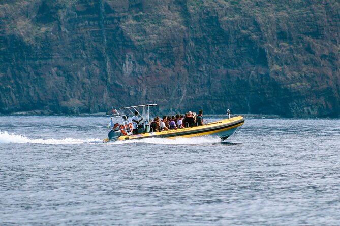 Madeira Dolphin & Whale Watching Tour - Timing and Seasonal Considerations