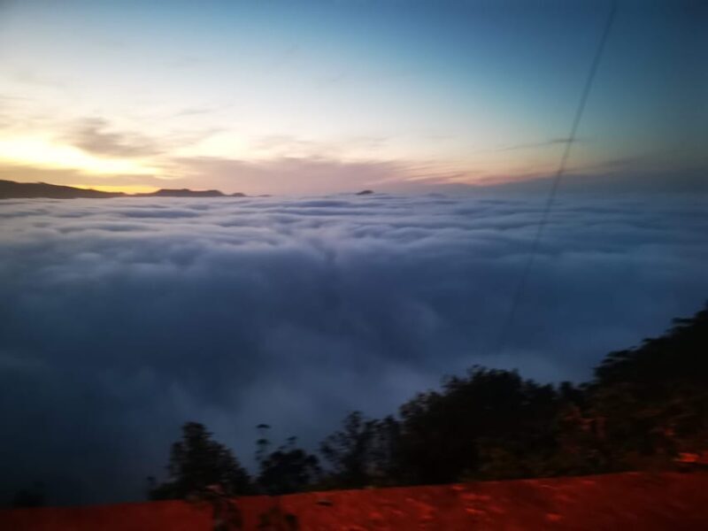 Madeira E-Buggy Adventure: 4x4 thrill & epic views! Book now - Key Points