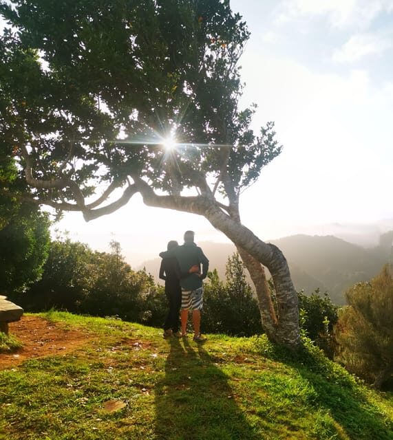 Madeira E-Buggy Adventure: 4x4 thrill & epic views! Book now - Final Thoughts