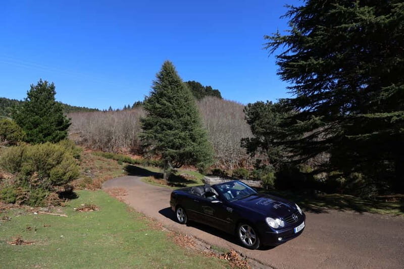 Madeira: East Coast Cabriolet Road Trip - Final Thoughts