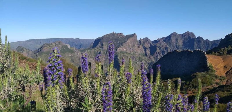 Madeira East Island Tour and Levada Walk - Key Points