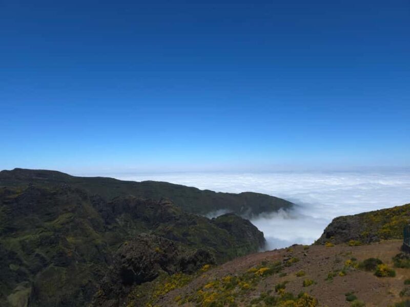 Madeira: East Island Tour with Rum Tasting - What You Can Expect from This Madeira East Coast Tour