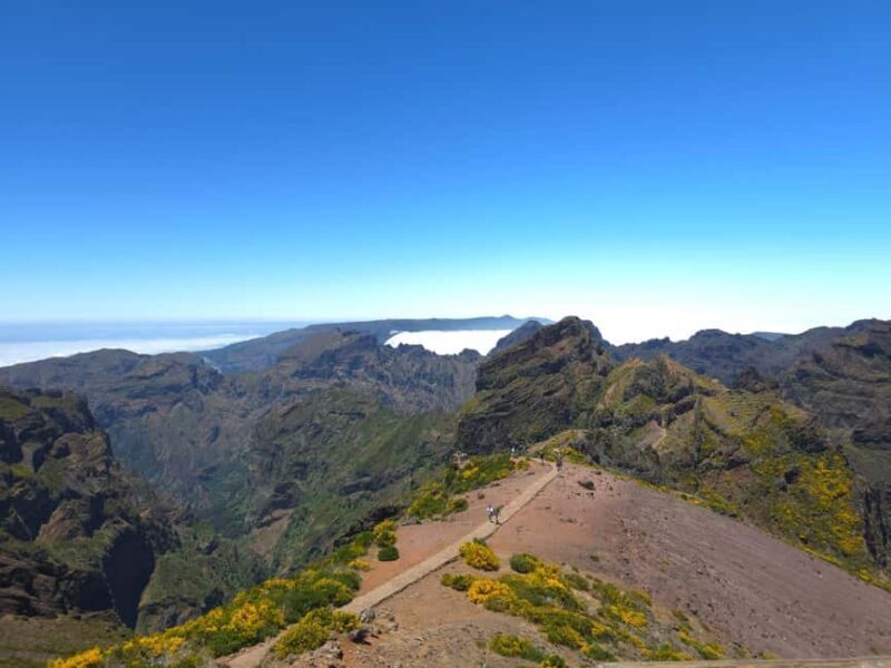 Madeira: East Island Tour with Rum Tasting - Practical Details and Considerations