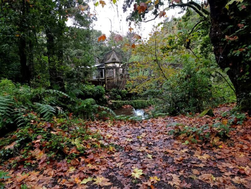 Madeira: East Side Tour - The Value of the Tour